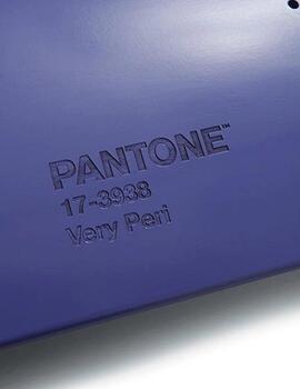 Kit Globe Phantone Color of the Year™ 2021/2022  8.25'