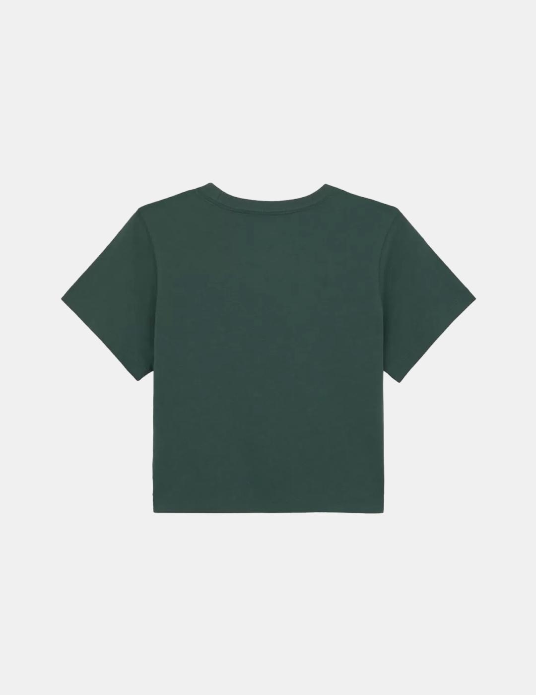 Camiseta Dickies Aitkin Verde