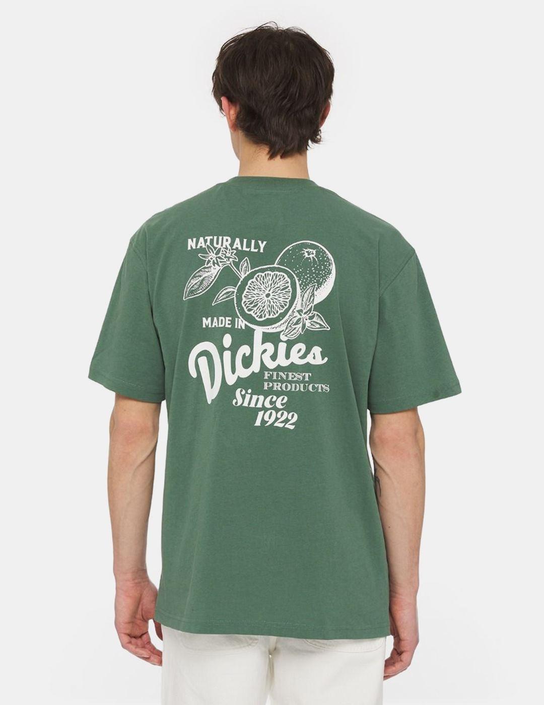Camiseta Dickies Raven Verde