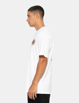 Camiseta Santa Cruz Delfino Tarot Blanco Para Hombre