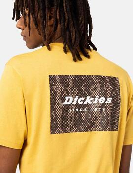Camiseta Dickies Candem Box Serpiente Amarillo Hombre