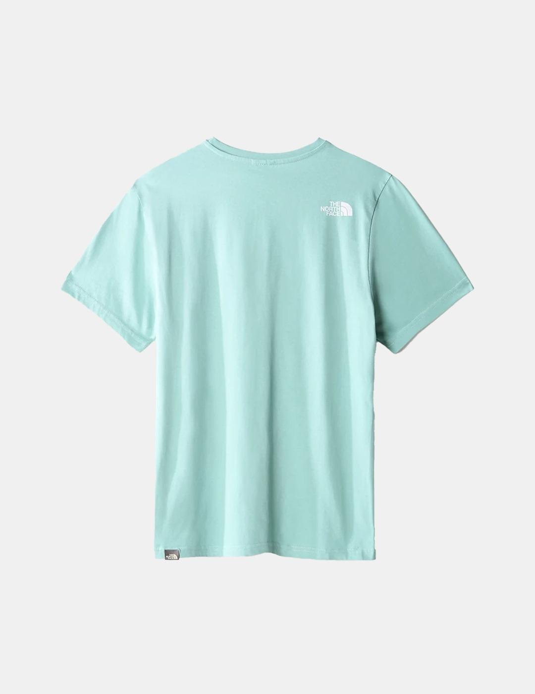 Camiseta North Face Simple Dome Wasabi Verde Para Hombre
